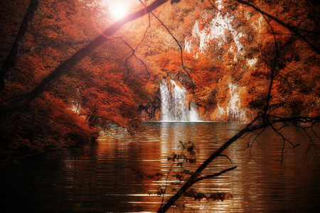 美丽的瀑布森林和湖泊克罗地亚普利维茨公园图片