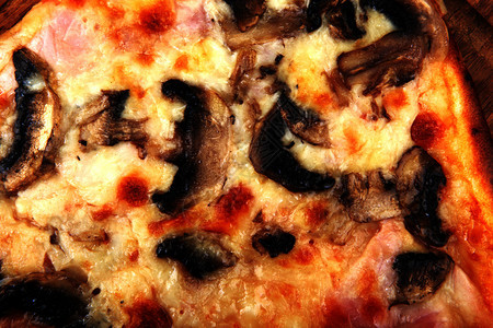 披萨新鲜烤配有原料的披萨图片