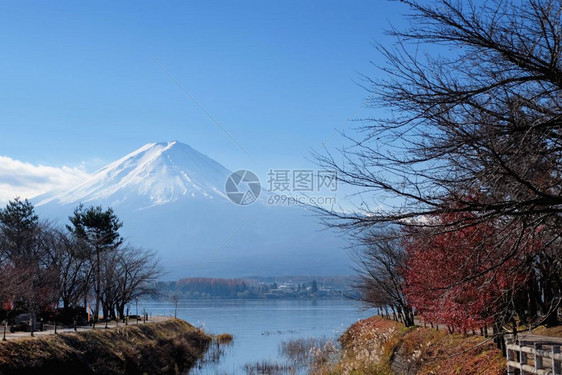 秋天川口湖周围的藤山风景图片