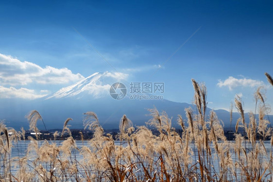 川口湖附近美丽的地方底有藤山图片