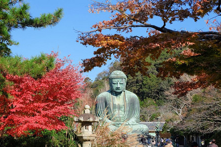 秋天日本宫仓Kotokuin寺日本的阿门寺佛像雕大布苏图片