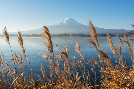 江湖川口周围风景美背中富士山图片
