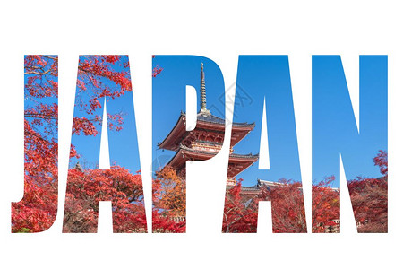日本京都市的红塔和秋叶树图片