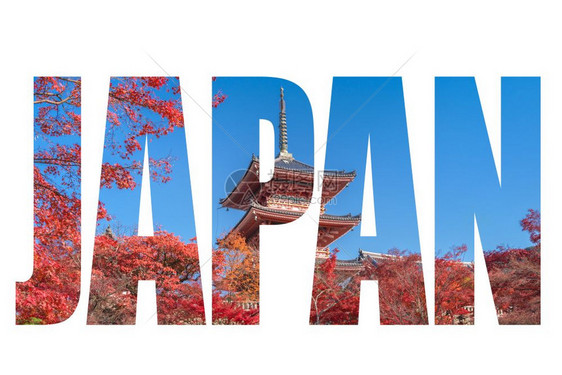 日本京都市的红塔和秋叶树图片