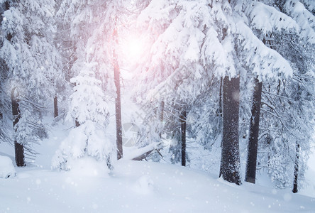 冬季山雪林图片