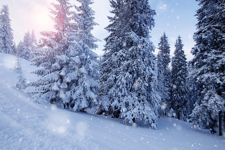 冬季山雪林图片