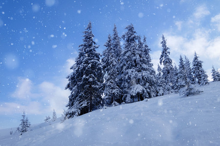 冬季山雪林背景图片