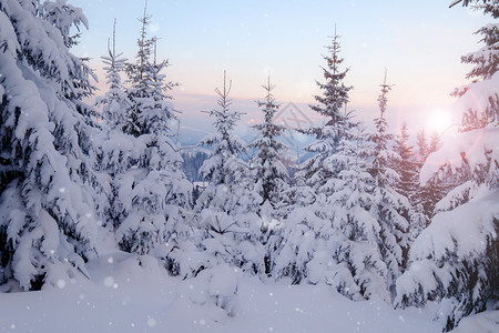 冬季山雪林背景图片