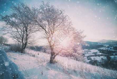 冬季山区雪乡村日出古年风景图片