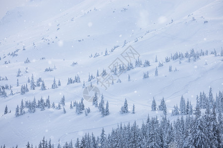 美丽的冬季高山雪图片