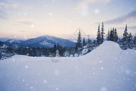 美丽的冬季高山雪图片