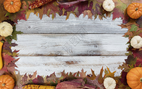 叶子装饰秋感恩节天叶子和季蔬菜装饰背景背景