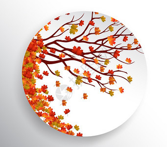 秋天背景有丰富多彩的叶子图片