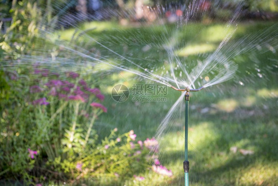 花朵繁多的在园中喷水器图片