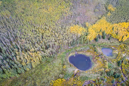 科罗拉多KenoshaPass科罗拉多的KenoshaPass的秋叶树池塘和小溪空中观察图片