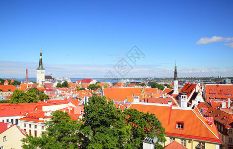 爱沙尼亚塔林老城全景图片