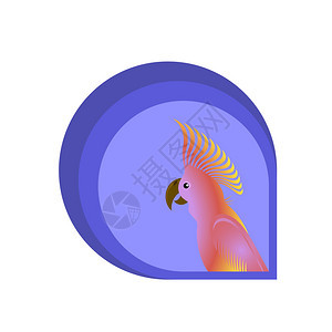 白背景上孤立的粉鸟鹦鹉登戈设计粉鹦鹉登戈设计图片