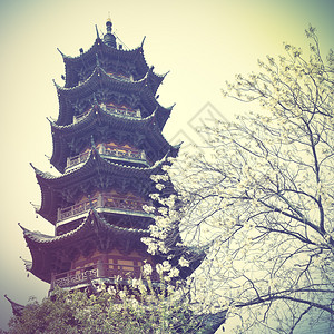 LonghuaPagoda公元247年上海图片