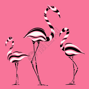 脖子按摩粉红色flamingo摘要的粉红色flamingo摘要美丽的矢量插图白色