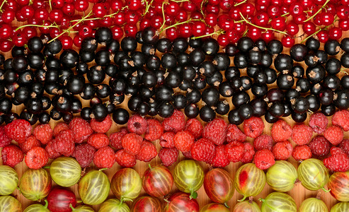 收集各种水果草莓鹅李子水果背景图片