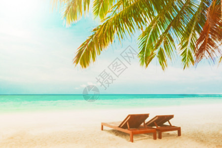 海滩背景模糊椰子树下有沙椅图片