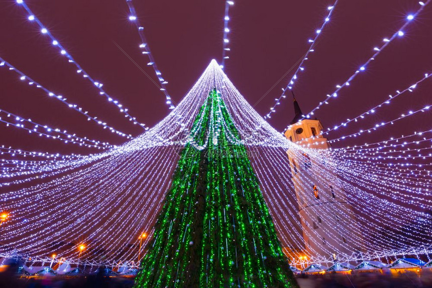 立陶宛维尔纽斯的圣诞树夜间在大教堂广场和贝尔夫里维纽斯立陶宛波罗的海各邦装饰和照亮圣诞树图片