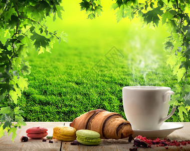 白杯咖啡和阳光树背景图片