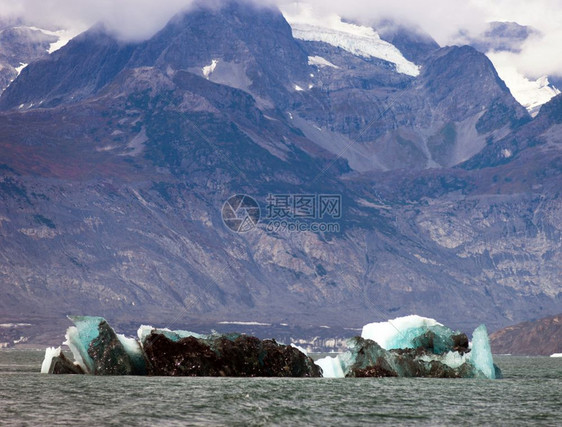 肯奈渡湾的肮脏绿色冰山漂浮图片