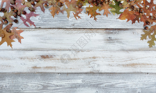 秋角和叶子在最顶端的拱门边生锈白木上图片