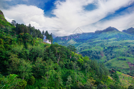 斯里兰卡岛中部山地生长过度的热带森林图片