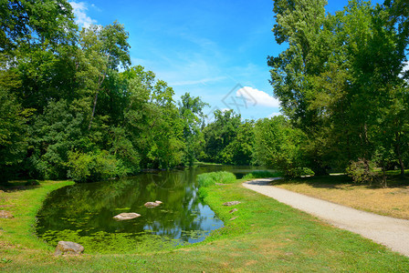 城市公园的小型光滑湖和明亮的蓝天图片