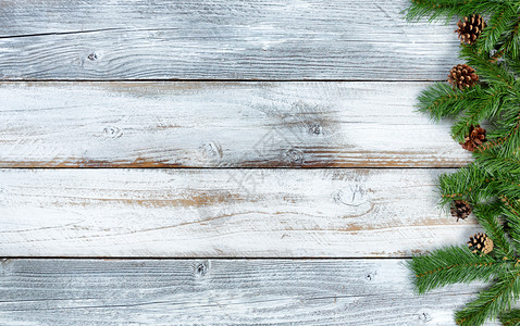 传统的圣诞长生绿色树枝装饰以固定的形式在生锈的结木上装饰图片