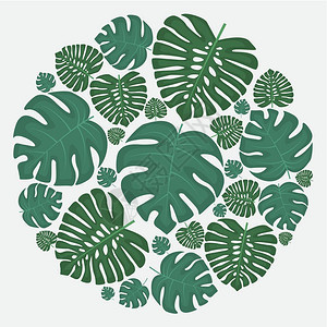 棕榈叶装饰矢量插图异树棕榈叶图片