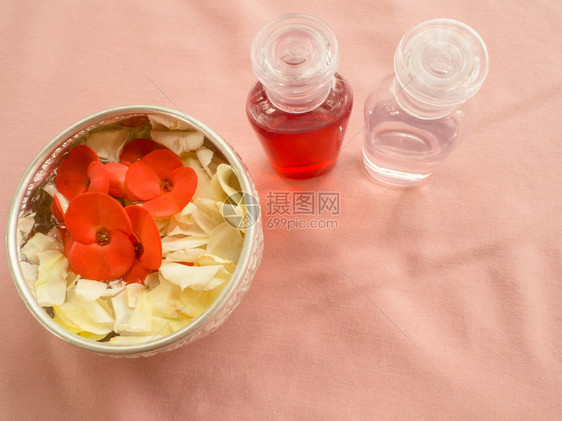 泰银碗在EuphorbiaMilii和玫瑰图片