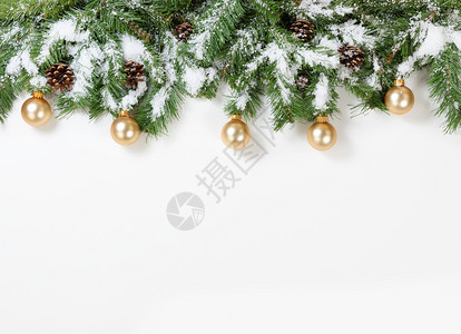 圣诞雪树枝和白色背景的金首饰图片