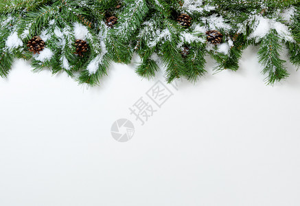 白底的雪圣诞树枝和松饼图片
