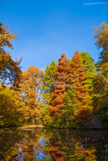 秋天风景公园图片
