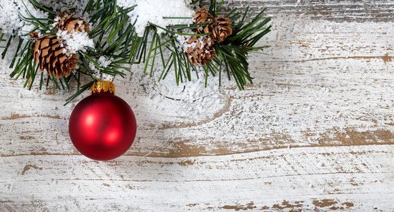 挂在生锈的白色木背景的粗fir树枝上的圣诞红装饰品图片