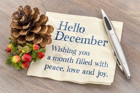 你好12月祝您有一个充满和平的月祝您愉快手写餐巾纸用松瓜和木头对着图片