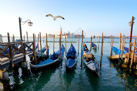 意大利威尼斯运河上的贡多拉斯图片