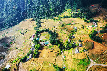 塔万村上方的望角和萨帕山谷水稻田梯图片