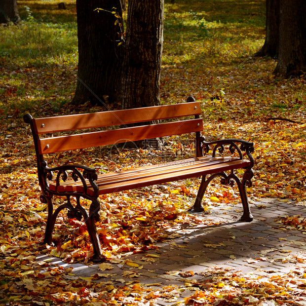 秋天公园美丽的花长凳阳光照耀明亮的叶子落下图片