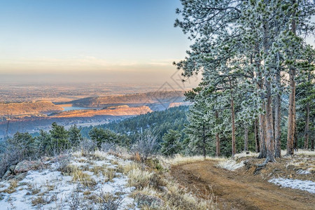 科罗拉多北部平原山丘和湖泊的未定视图来自马牙山公园TowersTrail的景象冰霜覆盖了松树图片