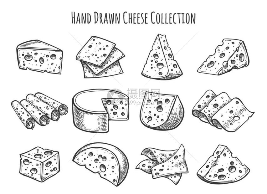 奶酪草图干片和切的病媒涂鸦收藏插画图片下载-正版图片304381574-摄