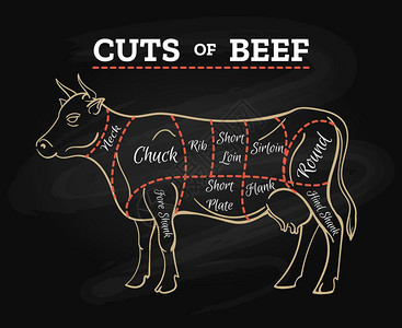牛肉排图排图切粉白板计划用于餐厅菜单海报矢量插图图片