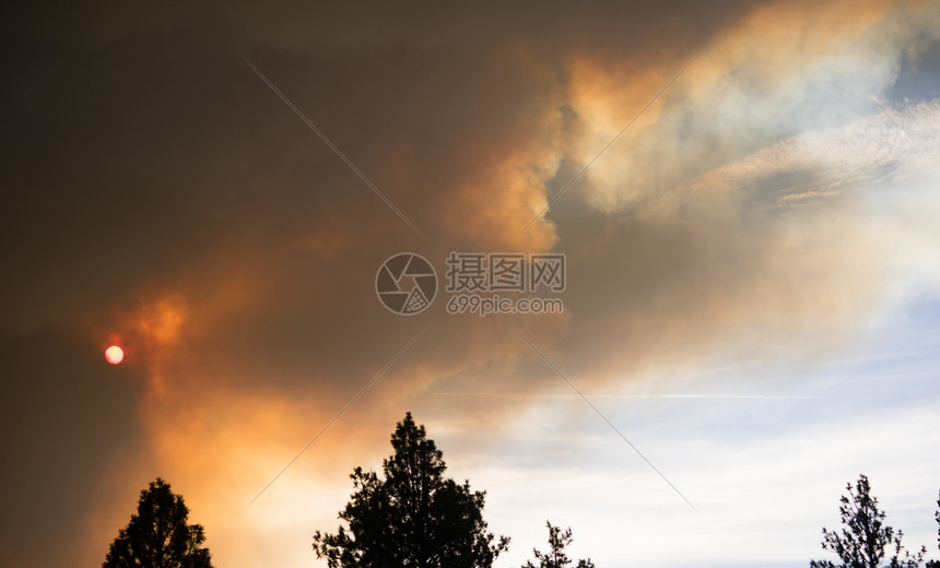 林地无节制的森火灾导致烟雾泛滥图片