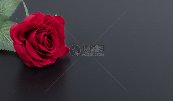 黑石背景上的一朵红玫瑰紧贴近图片