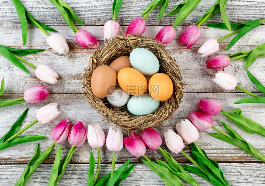 郁金香圆边框在复活节背景的生锈白木板上筑巢里面有色彩繁多的真蛋图片