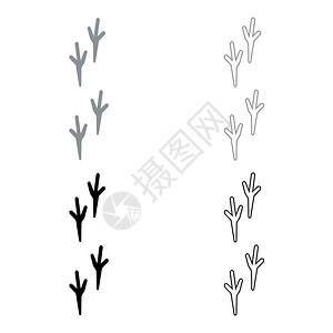 鸡形目鸟类插画_ 鸡形目鸟类卡通_ 鸡形目鸟类插图_手绘_板绘_摄图网