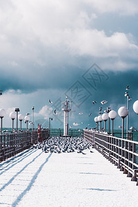 冬季风景码头和冰冻图片
